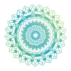 Mandala patterns on white background