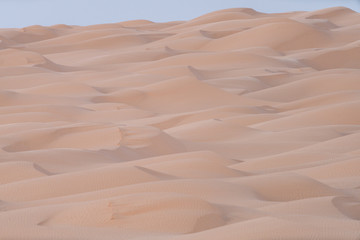 sand dunes in the desert