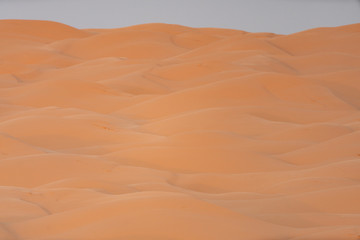 sand dunes in the desert