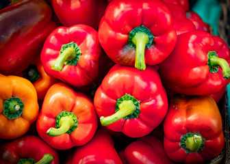 green bell pepper plant
