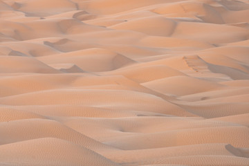 sand dunes in the desert