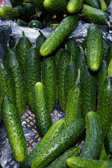 cucumbers on display at the market