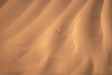 Sand 