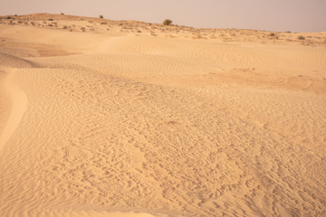 The send of the Sahara