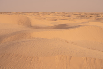 The send of the Sahara