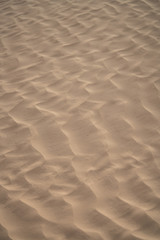 Fototapeta na wymiar The send of the Sahara
