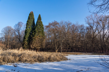 Winter view of South Park in city of Sofia, Bulgaria