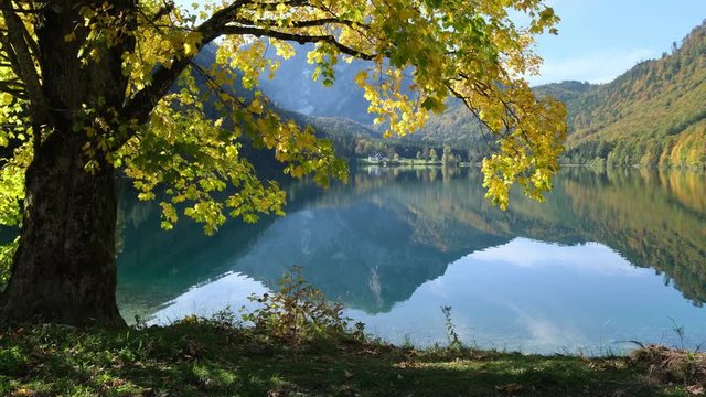 Sunny idyllic colorful autumn alpine view. Peaceful Langbathseen lake with mountain  reflections, Upper Austria. Sunlight twinkling on maple tree foliage from water ripples reflections.