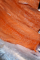 fresh raw salmon on ice