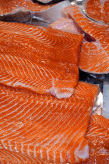 fresh raw salmon on ice