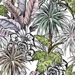 Fototapety  Tropikalny wzór z ręcznie rysowane liści i palm.