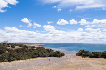 Fototapeta na wymiar Punta Tombo beach day view, Patagonia, Argentina