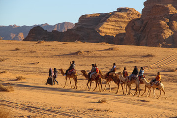 Camel caravan with tourists goes through the Wadi Rum desert in Jordan shortly before sunset. Clear blue sky. Blurred sandstone mountains in the background. Theme of vacation and safari in Jordan.