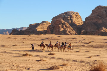 Camel caravan with tourists goes through the Wadi Rum desert in Jordan shortly before sunset. Clear blue sky. Blurred sandstone mountains in the background. Theme of vacation and safari in Jordan.