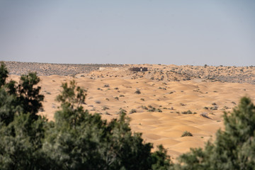 Fototapeta premium Ksar Ghilane
