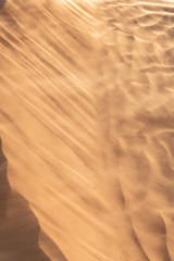 The Tunisian Sahara