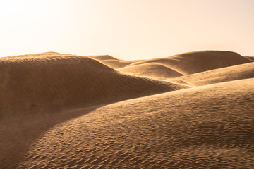 Sahara