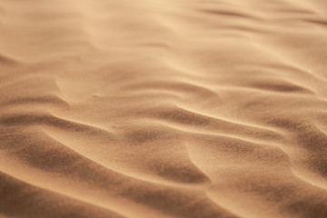 sand dunes in the desert
