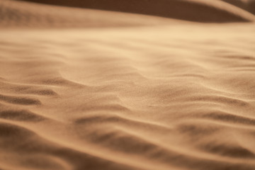 sand dunes in the desert