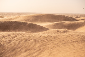 sand dunes in the desert