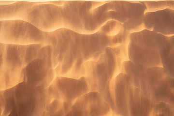 sand dunes in the desert