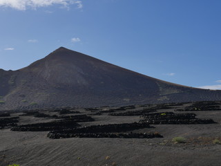Fototapeta premium Beautiful beach of Spain, Canary Islands Fuerteventura, fine sand and crystal clear water