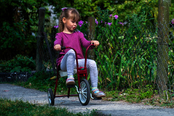 Little girl rides a retro tricycle