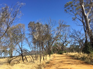 Australien Outback Buschfeuer 