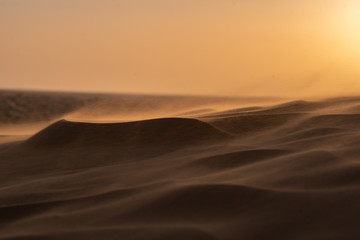 sunset in the desert