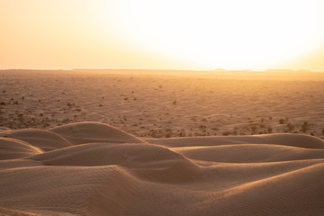 sand dunes in the desert
