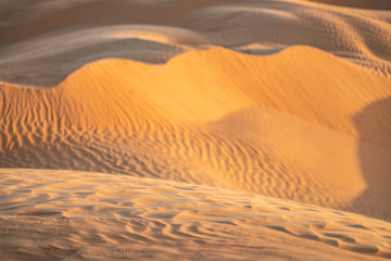 sand dunes in the desert