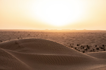 road in the desert