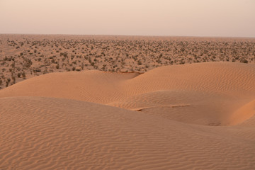 sand dunes in the desert