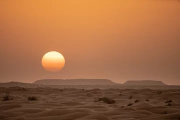 Tuinposter sunset in desert © skazar