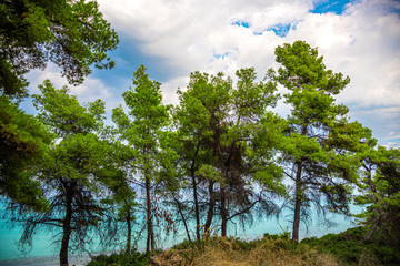 Obraz premium Landscape at the sea in Greece