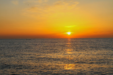 beautiful dawn on the sea, flight of ducks over the sea, ducks fly at dawn over the sea.