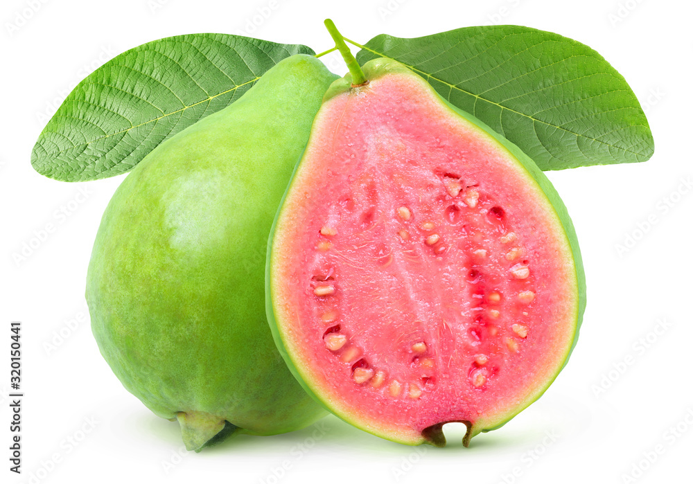 Fototapete isolated guava. one whole green guava fruit and a half with pink flesh on a branch with leaves isola