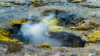 BLACK PEARL GEYSER, BISCUIT BASIN, Yellowstone