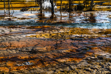 BISCUIT BASIN COLORFUL LANDSCAPES