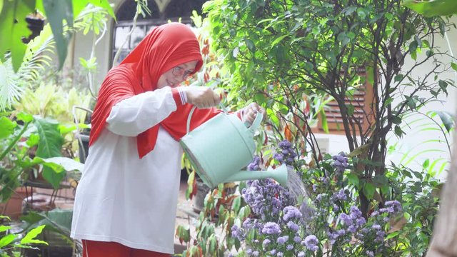 Happy senior woman watering flower in backyard garden. Shot in 4k resolution