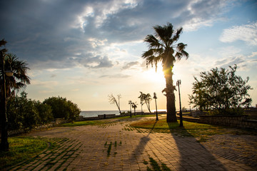 Landscape at the sea in Kassandra , Greece