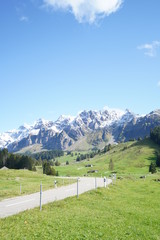 Fototapeta na wymiar Säntis Switzerland Alps