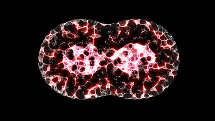 Binary fission cells division motion graphic on black background