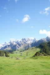 Fototapeta na wymiar Säntis Switzerland Alps