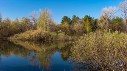 Fototapeta na wymiar Spring landscape - forest lake in early spring with trees around it, reflecting in blue water on a bright sunny day