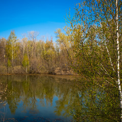 Spring landscape - forest lake in early spring with trees around it, reflecting in blue water on a bright sunny day