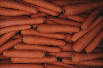 Carrots. Top view of many carrots. Carrot texture
