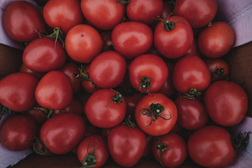 Tomatoes. Top view of many tomatoes. Tomatoes texture