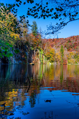 Autumn landscape in the forest