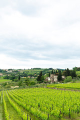 Fototapeta na wymiar Tuscany, Iltaly - May 27, 2015:.Landscape view with grapevine in the foreground